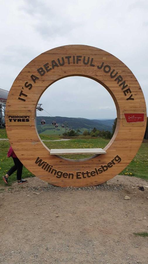 Ferienwohnung Mohnwiese Und Blumenwiese Willingen  Dış mekan fotoğraf